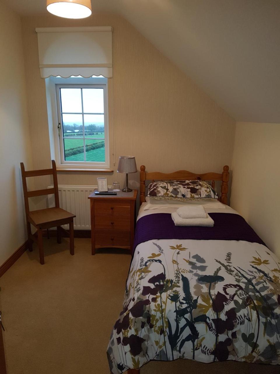 Kilcreeny Lodge リスバーン エクステリア 写真